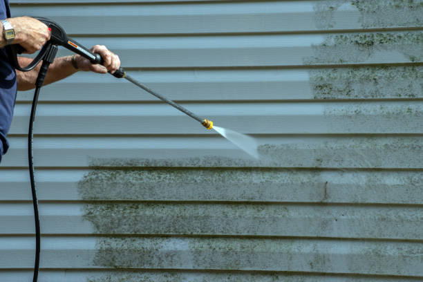 Best Roof Washing  in Waymart, PA